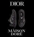 Dior B35