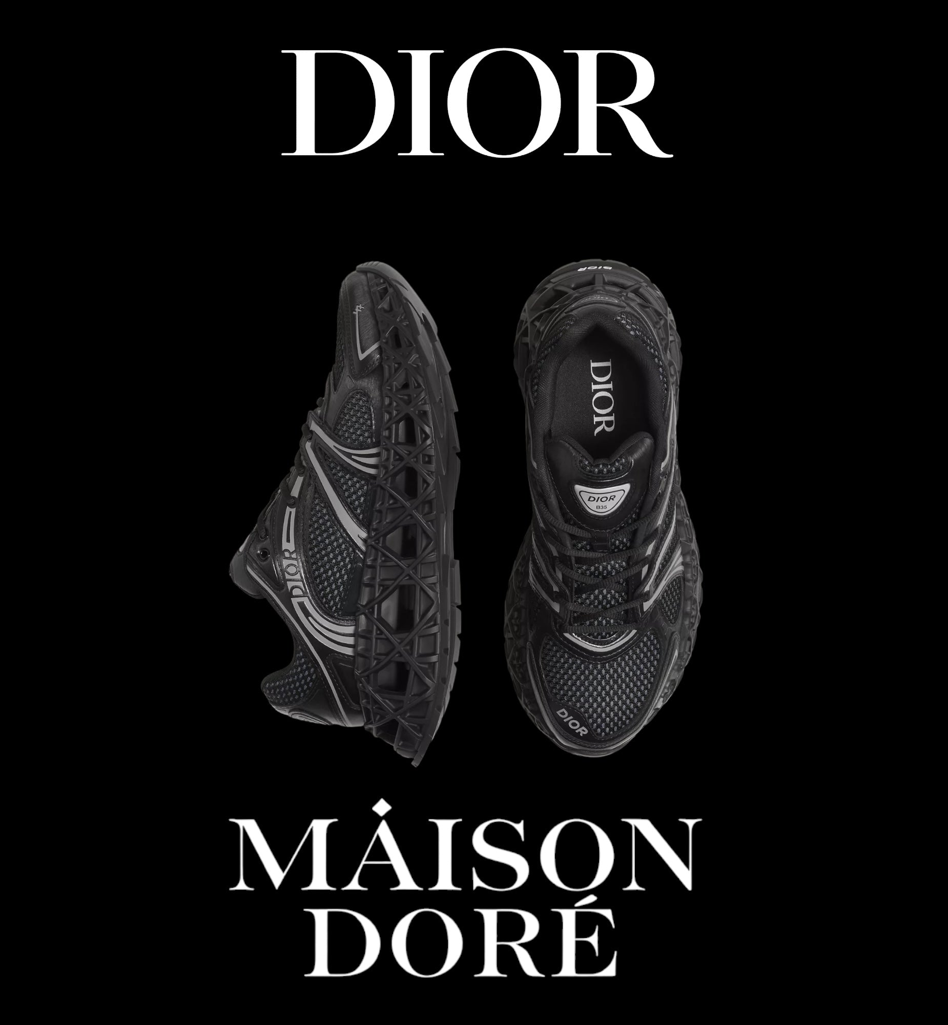 Dior B35